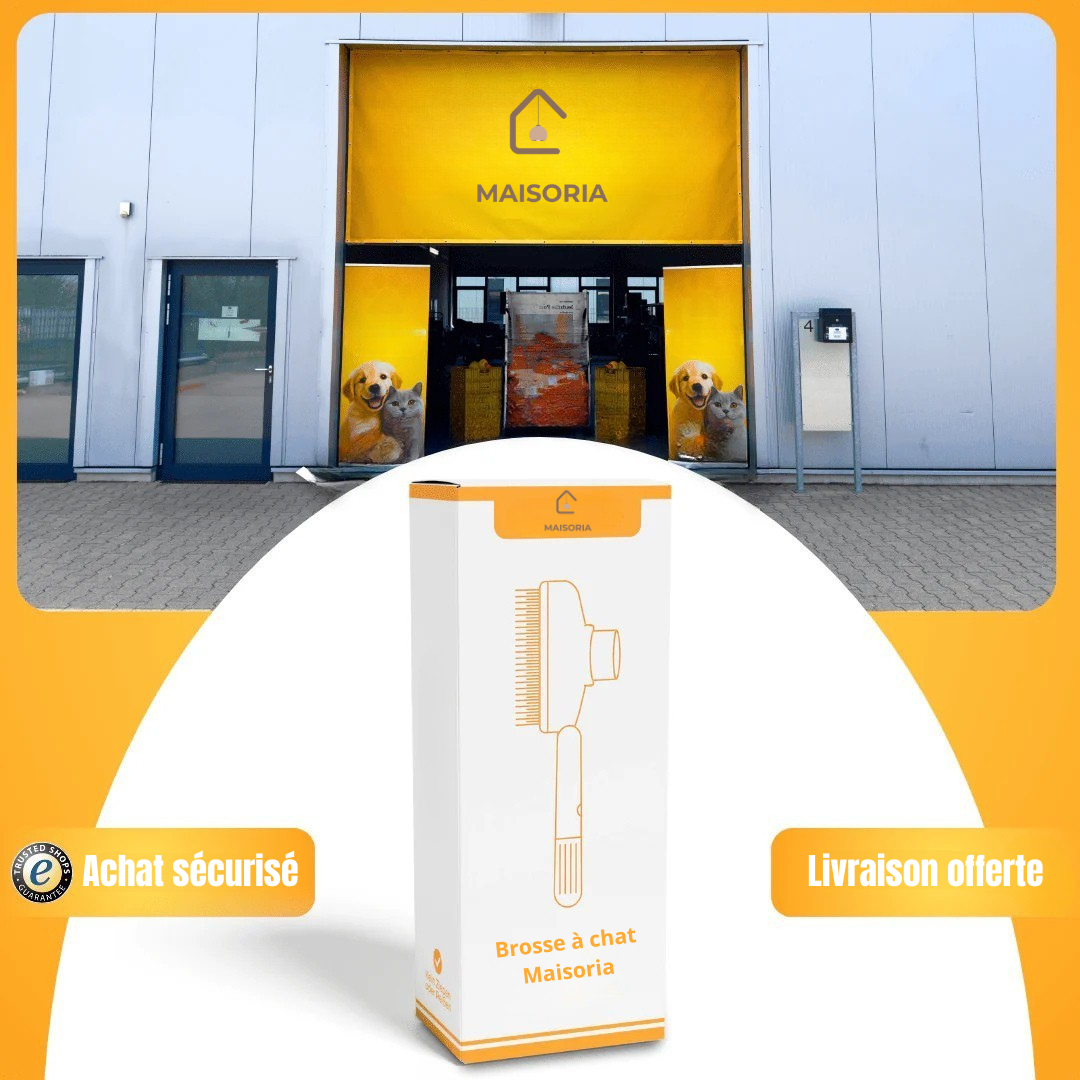 Brosse Pelage Éclair - Le Bestseller