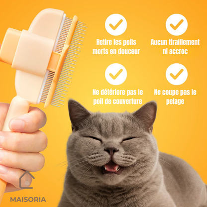 Brosse Pelage Éclair - Le Bestseller