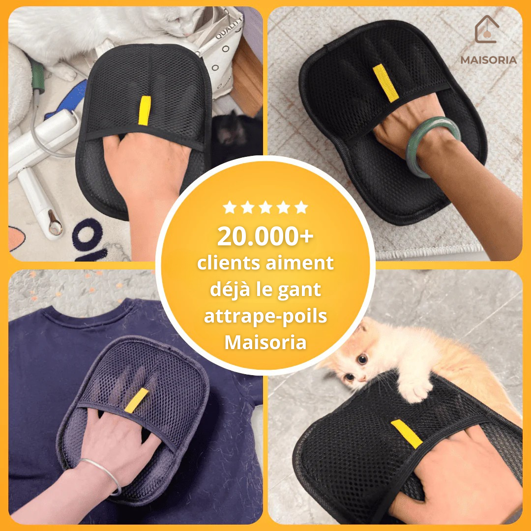 Gant Attrape Poils – Le Bestseller