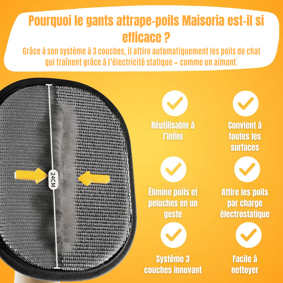 Gant Attrape Poils – Le Bestseller