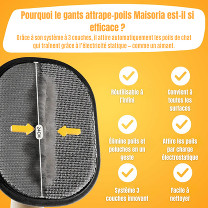 Gant Attrape Poils – Le Bestseller