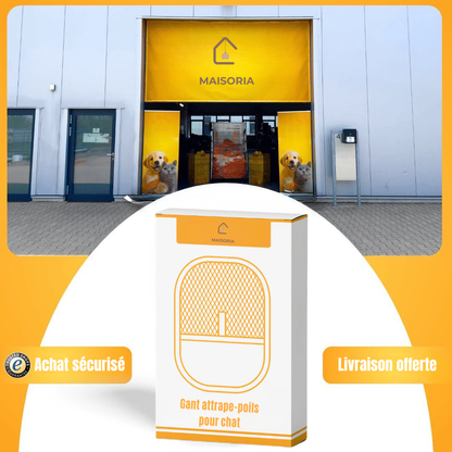 Gant Attrape Poils – Le Bestseller