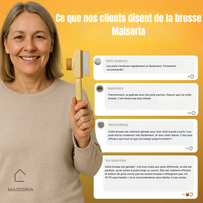Brosse Pelage Éclair - Le Bestseller