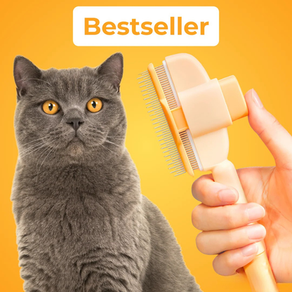 Brosse Pelage Éclair - Le Bestseller