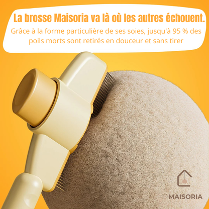 Brosse Pelage Éclair - Le Bestseller
