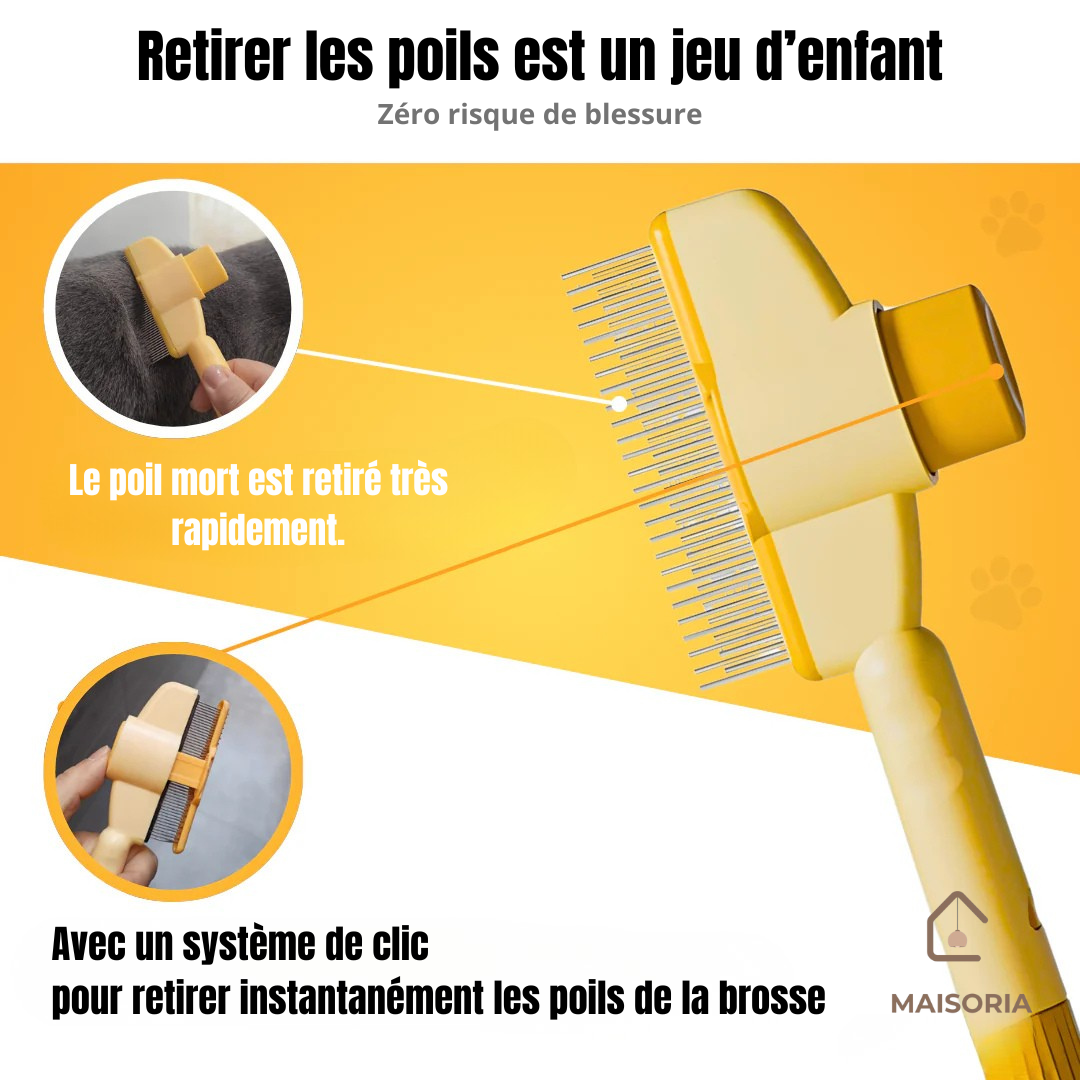 Brosse Pelage Éclair - Le Bestseller