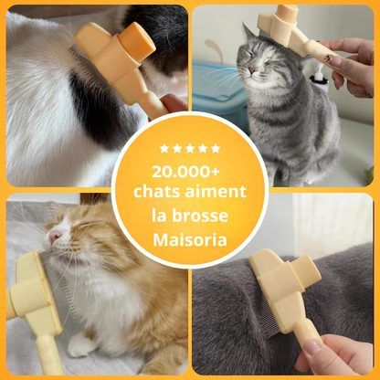 Brosse Pelage Éclair - Le Bestseller