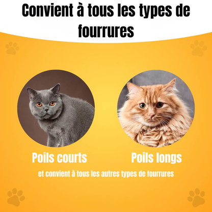 Brosse Pelage Éclair - Le Bestseller